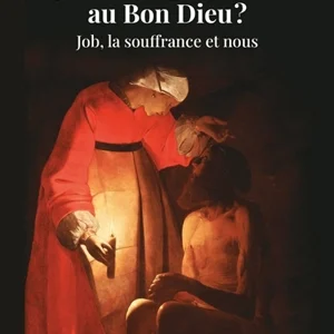 Qu'est-ce que j'ai fait au bon Dieu ? : Job, la souffrance et nous